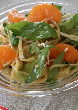 しらすとミカンのサラダ冷麺-レシピのメイン写真
