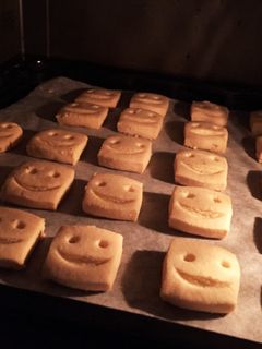 【覚書】サクホロ☆ソルトクッキー-レシピのメイン写真