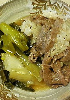♪岩津ねぎと牛肉のあっさり煮♪-レシピのメイン写真