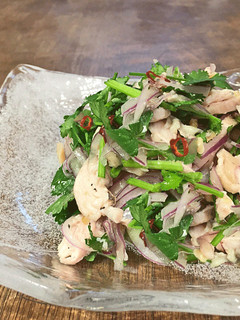 鶏胸肉とパクチーのサラダ-レシピのメイン写真