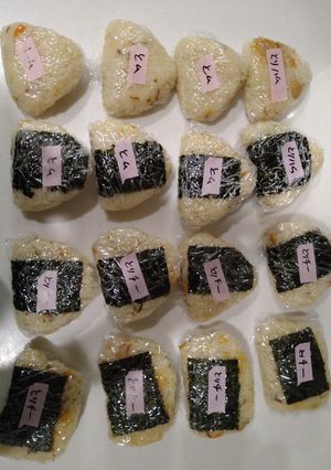 たんぱく質おにぎりミニ-レシピのメイン写真