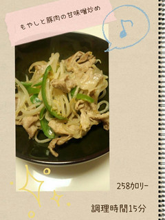 もやしと豚肉の甘味噌炒め-レシピのメイン写真