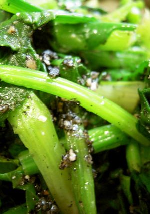 *ほうれん草の胡麻和え*-レシピのメイン写真