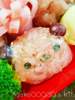 お赤飯de簡単可愛いワンちゃんおにぎり-レシピのメイン写真