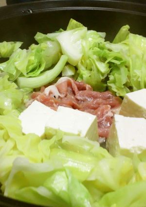 春キャベツと豚肉の焼きしゃぶ-レシピのメイン写真