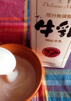 簡単！牛乳で手作り1リットルヨーグルト-レシピのメイン写真