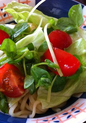 野菜たっぷり♡ヘルシーサラダ冷やし中華-レシピのメイン写真