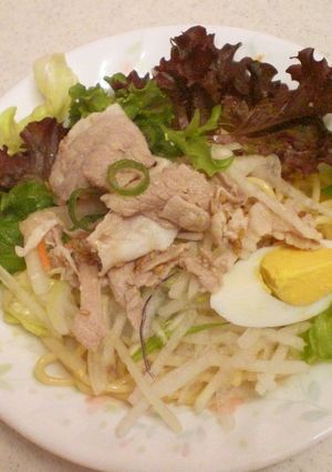 これ一つで栄養満点具材たっぷり冷やし中華-レシピのメイン写真