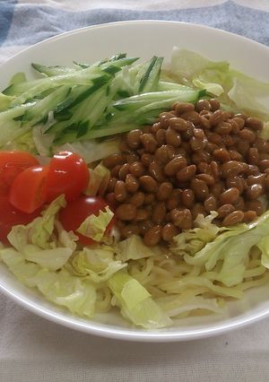 ねばねば納豆のサラダ冷し中華-レシピのメイン写真