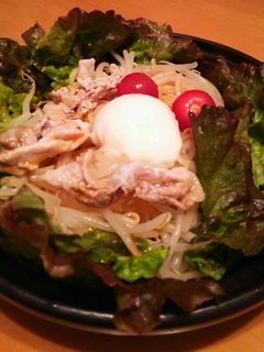 ちょこっと冷しゃぶ乗せ☆冷やし中華-レシピのメイン写真