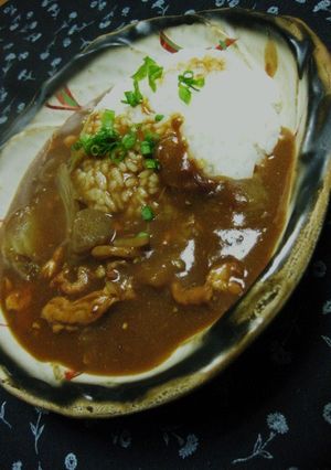 水炊きの残り汁で･カレーライス♪-レシピのメイン写真