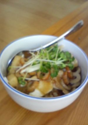 豆腐と油揚げ丼-レシピのメイン写真