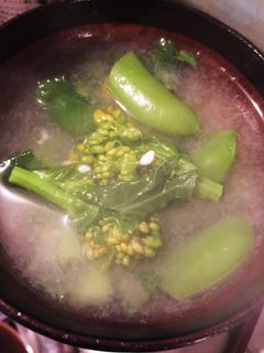 菜の花とスナップえんどうのお味噌汁-レシピのメイン写真