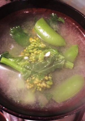 菜の花とスナップえんどうのお味噌汁-レシピのメイン写真