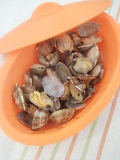 レンジでチンするあさりの酒蒸し-レシピのメイン写真