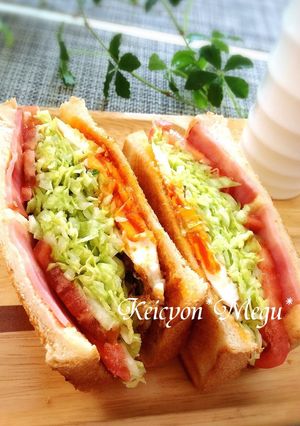❀ウチの沼サン!!❀-レシピのメイン写真