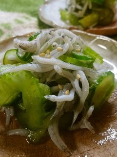 らっきょう酢で♪胡瓜セロリのしらす和え-レシピのメイン写真