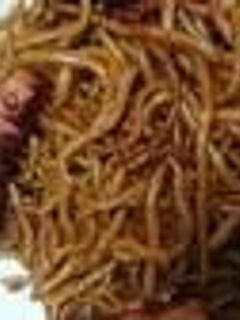 焼そば-レシピのメイン写真