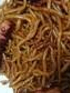 焼そば-レシピのメイン写真