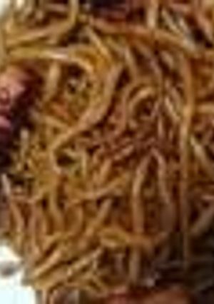 焼そば-レシピのメイン写真