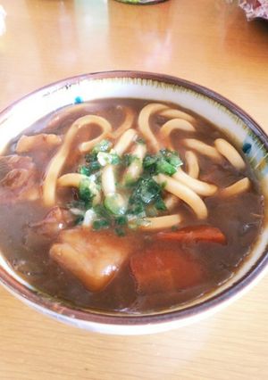 驚くほど簡単！残り物カレーでカレーうどん-レシピのメイン写真