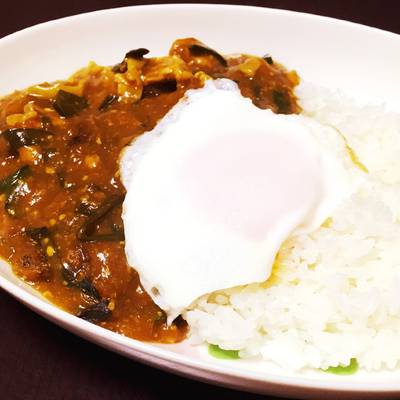 ケンタロウ カレー セール キャベツ 豚肉 フライパン