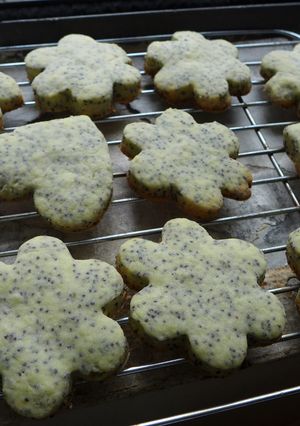 Lemon Poppy Cookies-レシピのメイン写真