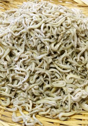 イカナゴの釜揚げ-レシピのメイン写真