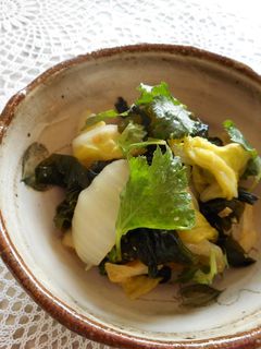 若布と白菜の酢の物-レシピのメイン写真