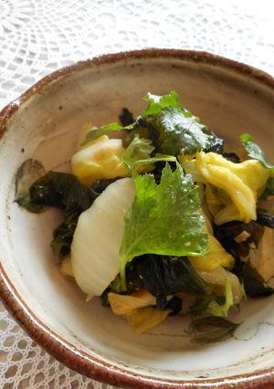 若布と白菜の酢の物-レシピのメイン写真
