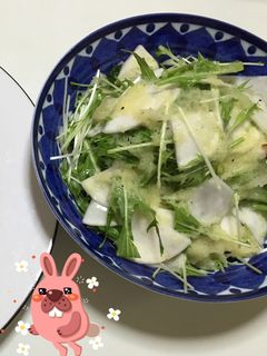 水菜とカブのサラダ-レシピのメイン写真