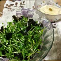 รูปของ 豆苗と海苔のサラダ〜亜麻仁油仕立て