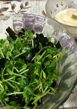 豆苗と海苔のサラダ〜亜麻仁油仕立て-レシピのメイン写真