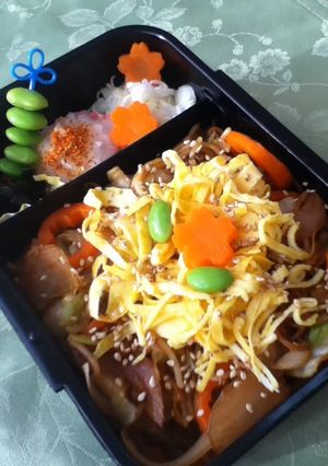 仕上げ楽しみ☆薬味たっぷり瓦焼きそば弁当-レシピのメイン写真