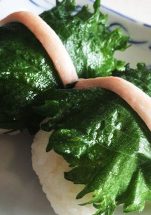 おにぎりに♪青じそのごま油漬け-レシピのメイン写真