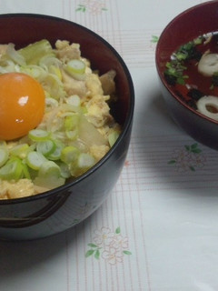 月見ねぎ親子丼-レシピのメイン写真