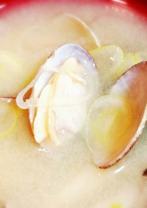 簡単！あさりのみそ汁-レシピのメイン写真