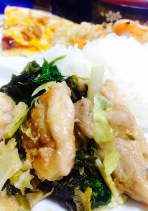鳥肉とほうれん草キャベツのミゾレ炒め-レシピのメイン写真