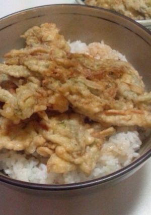塩味うまうま！若ごぼうのかき揚げ-レシピのメイン写真
