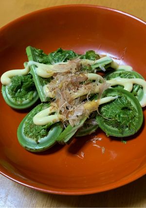 こごみのおかかマヨ-レシピのメイン写真