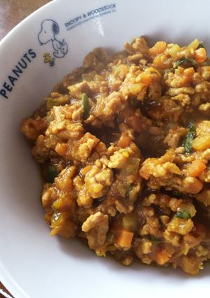 簡単キーマカレー-レシピのメイン写真