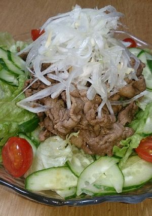 大人の、さっぱり肉サラダ♪-レシピのメイン写真