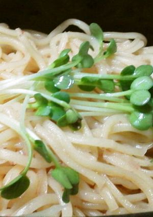 マルちゃん焼きそば簡単弁当-レシピのメイン写真