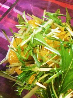 いよかんと水菜のサラダ-レシピのメイン写真