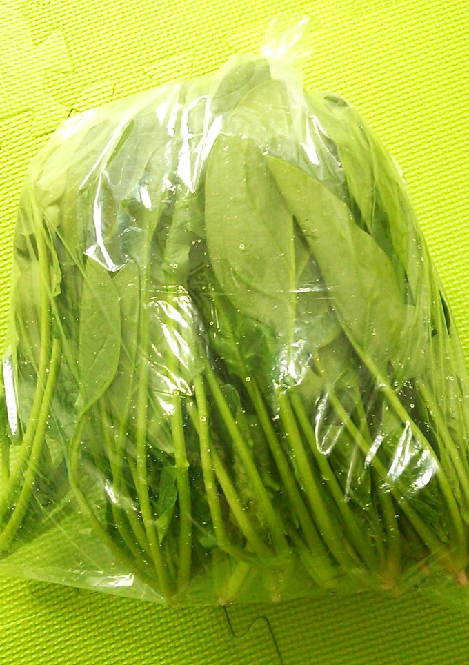 簡単　ほうれん草の保存-レシピのメイン写真