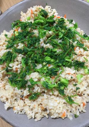 野草を楽しむ～ハコベのまぜご飯-レシピのメイン写真