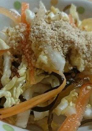 白菜のシャキシャキ塩昆布サラダ-レシピのメイン写真