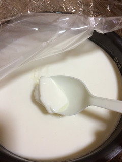 炊飯器で栄養満点ローカロリーなヨーグルト-レシピのメイン写真