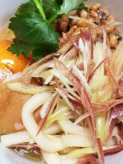 秋刀魚缶でひっぱりうどん-レシピのメイン写真