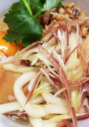 秋刀魚缶でひっぱりうどん-レシピのメイン写真